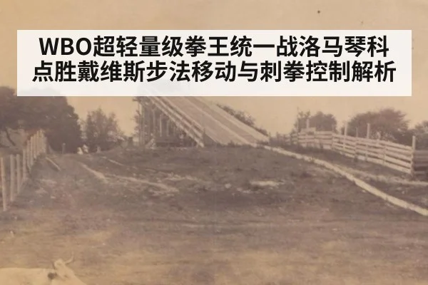 WBO超轻量级拳王统一战洛马琴科点胜戴维斯步法移动与刺拳控制解析