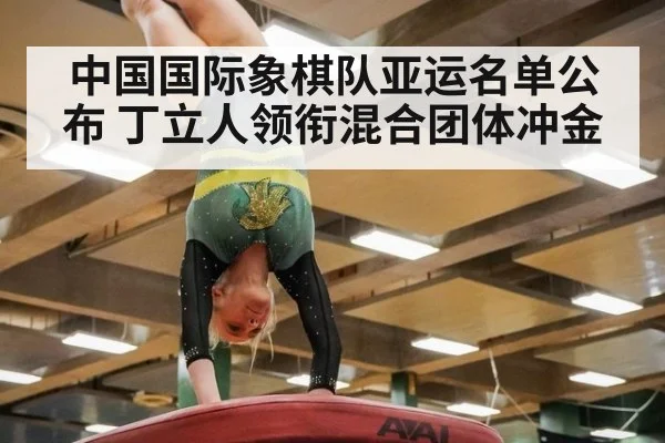 中国国际象棋队亚运名单公布 丁立人领衔混合团体冲金